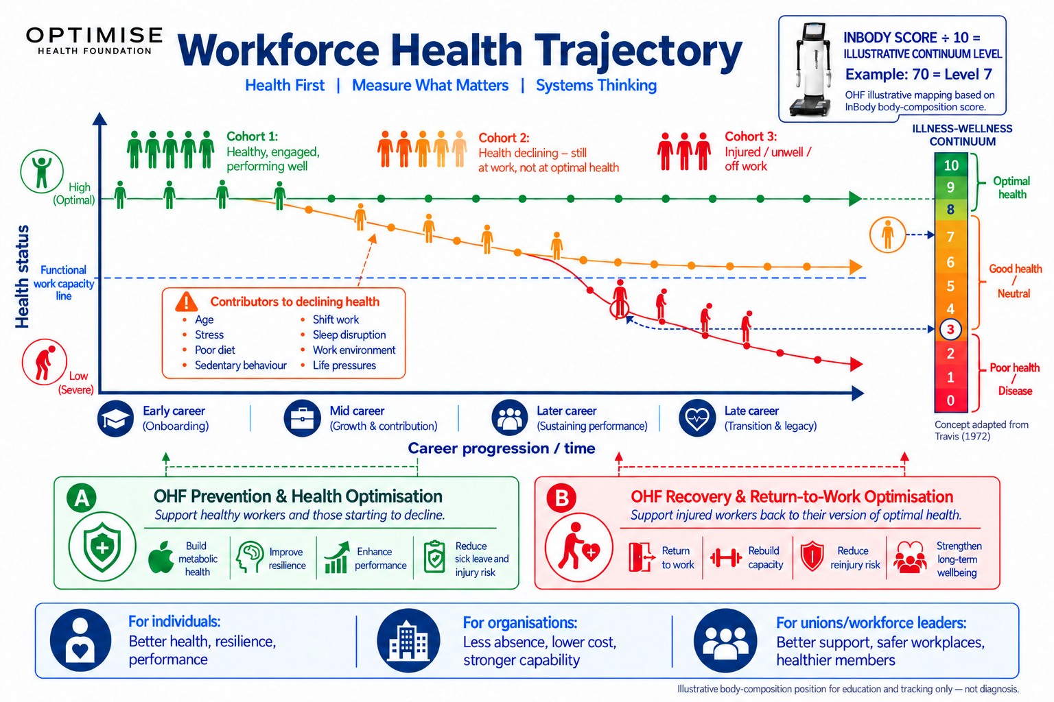 Workforce Health Trajectory infographic showing healthy workers, workers with declining health, and injured or unwell workers, with Optimise Health Foundation prevention and return-to-work pathways.